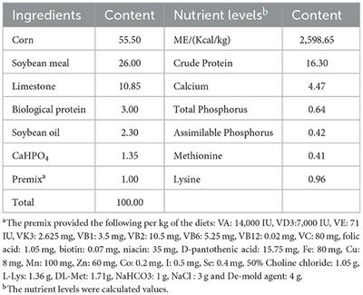 Exploring the effects of lysozyme dietary supplementation on laying hens: performance, egg quality, and immune response